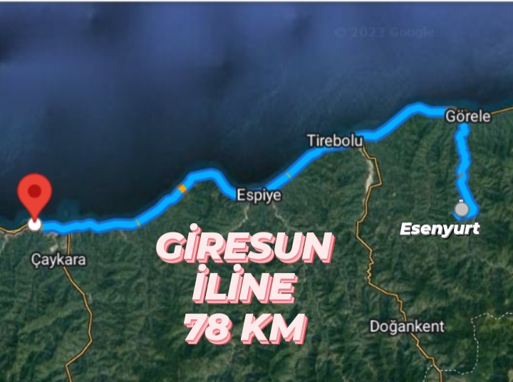 GİRESUN GÖRELE ESENYURT KÖYÜNDE 136M² FINDIK BAHÇESİ SATILIKTIR - GİRESUN GÖRELE fotoğraf 21